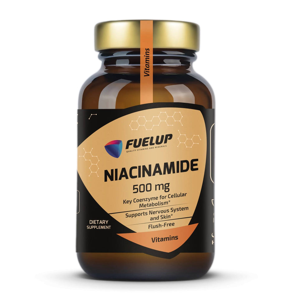 Vitamin B3 - Niacinamide 500mg
